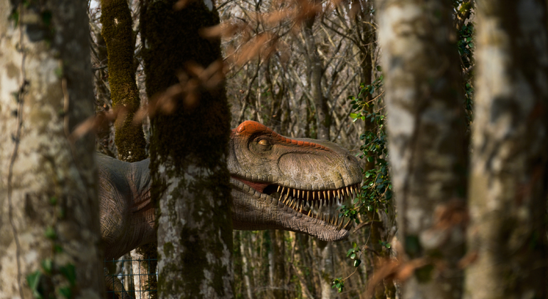Kutaisi: Excursión a los dinosaurios y el vino, Sataplia y la cueva de Tetra