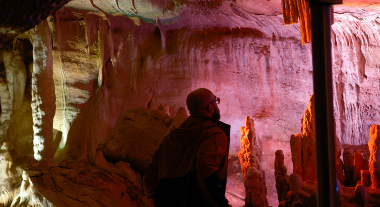 Kutaisi: Dinosauri e vino, tour delle grotte Sataplia e Tetra Georgia &mdash; #4