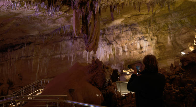 Kutaisi: Dinosauri e vino, tour delle grotte Sataplia e Tetra Georgia &mdash; #10