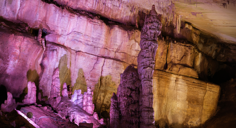 Kutaisi: Dinosauri e vino, tour delle grotte Sataplia e Tetra Georgia &mdash; #11