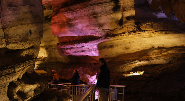 Kutaisi: Dinosauri e vino, tour delle grotte Sataplia e Tetra Georgia &mdash; #12