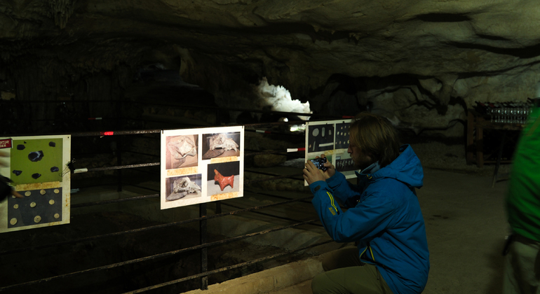 Kutaisi: Dinosauri e vino, tour delle grotte Sataplia e Tetra Georgia &mdash; #19