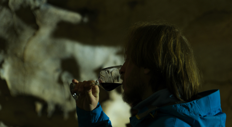 Kutaisi: Dinosauri e vino, tour delle grotte Sataplia e Tetra Georgia &mdash; #21