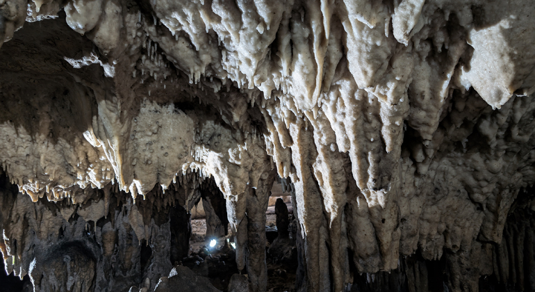 Kutaisi: Dinosauri e vino, tour delle grotte Sataplia e Tetra Georgia &mdash; #23
