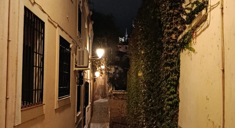 Toledo Enchanted Free Tour Spain &mdash; #7