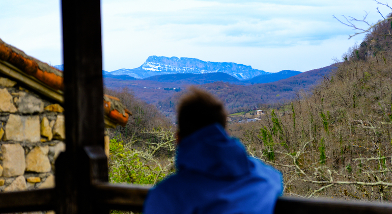Kutaisi: Monasteries Tour with Traditional Sweet Tasting Georgia &mdash; #10