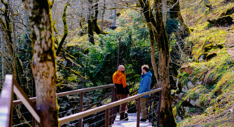 Kutaisi: Cañones y cascadas con comida local Georgia &mdash; #11