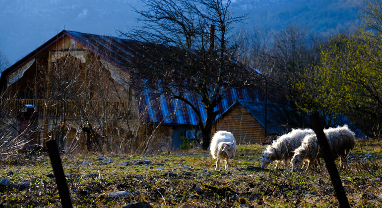 Kutaisi: Cañones y cascadas con comida local Georgia &mdash; #18