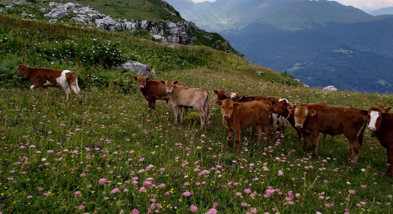 Kutaisi: Askhi Mountain Car Tour con impresionantes vistas y picnic Georgia &mdash; #12