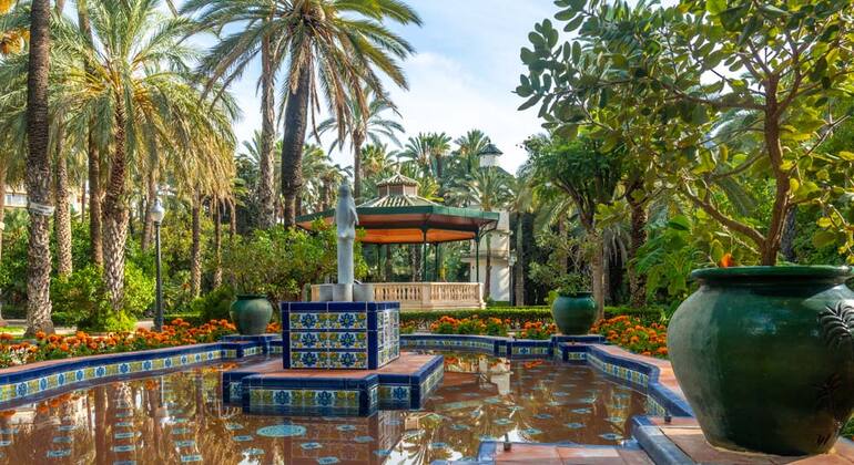 elche-free-tour-el-oasis-con-tres-patrimonios-de-la-humanidad-es-1