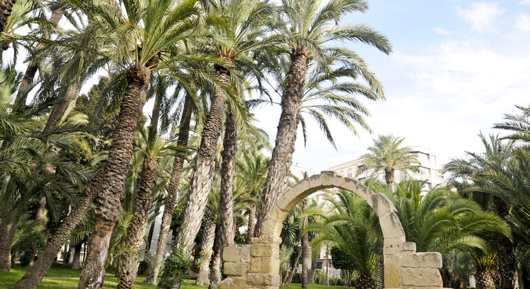 elche-free-tour-el-oasis-con-tres-patrimonios-de-la-humanidad-es-2