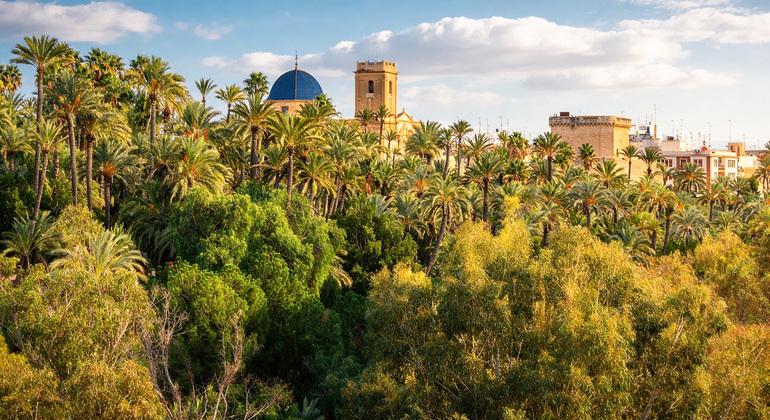 Descubre Elche Free Tour: El Oasis con 3 Patrimonios de la Humanidad  España &mdash; #2