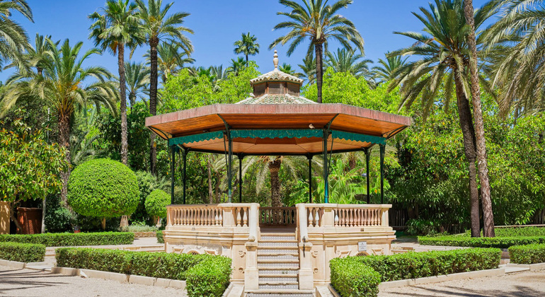 Descubre Elche Free Tour: El Oasis con 3 Patrimonios de la Humanidad  España &mdash; #4