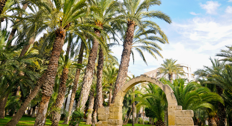 Descubre Elche Free Tour: El Oasis con 3 Patrimonios de la Humanidad  España &mdash; #5