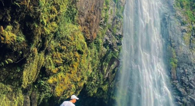 Excursión a Moshi: Cascada Materuni, almuerzo local y experiencia cafetera