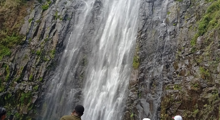 Moshi Tour: Materuni Waterfall, Local Lunch & Coffee Experience Tanzania &mdash; #3