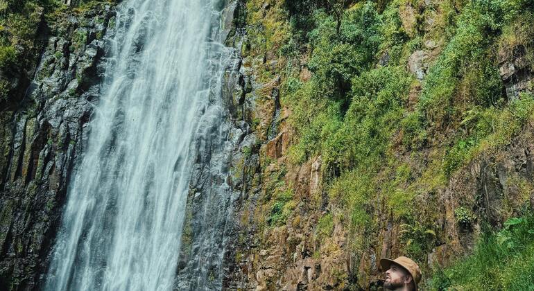 Moshi Tour: Materuni Waterfall, Local Lunch & Coffee Experience Tanzania &mdash; #5