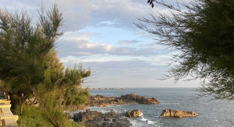 Oporto junto al océano: Paseo gratuito por Foz do Douro