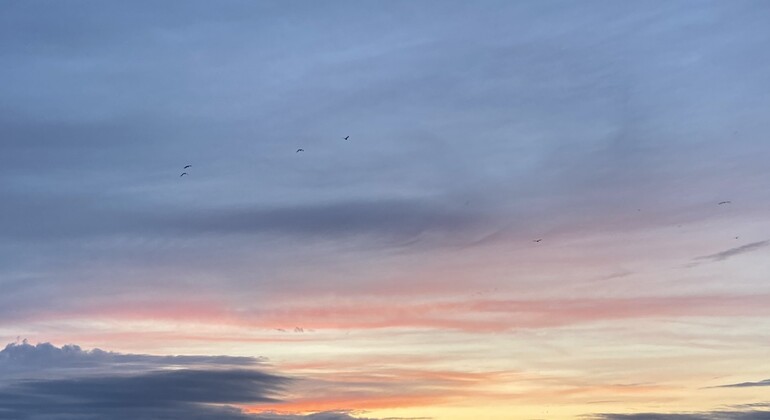 Porto by the Ocean: Free Walking Tour of Foz do Douro Portugal &mdash; #4