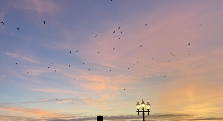 Porto by the Ocean: Free Walking Tour of Foz do Douro Portugal &mdash; #6