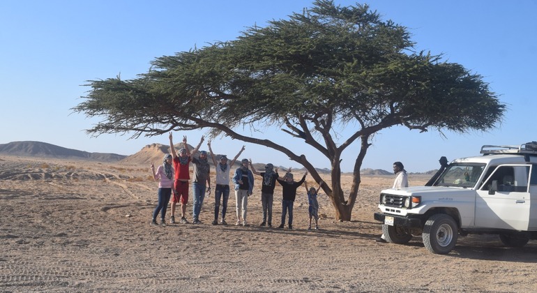 Family Safari in Hurghada: A Safe and Fun Tour for Children Egypt &mdash; #18