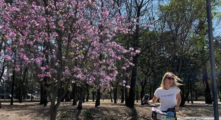 Free Tour en el Centro Histórico de la Ciudad de México México &mdash; #2