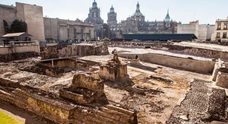 Free Tour en el Centro Histórico de la Ciudad de México México &mdash; #7