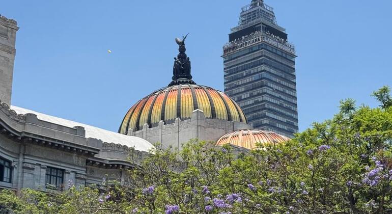 Free Tour in the Historic Center of Mexico City Mexico &mdash; #13