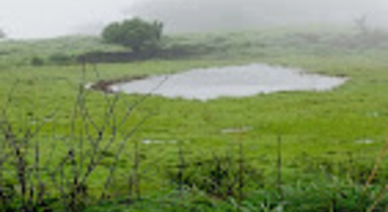 kerala-nature-tour-from-paithalmala-heights-to-serene-shores-es-3