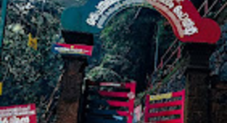 kerala-nature-tour-from-paithalmala-heights-to-serene-shores-es-4