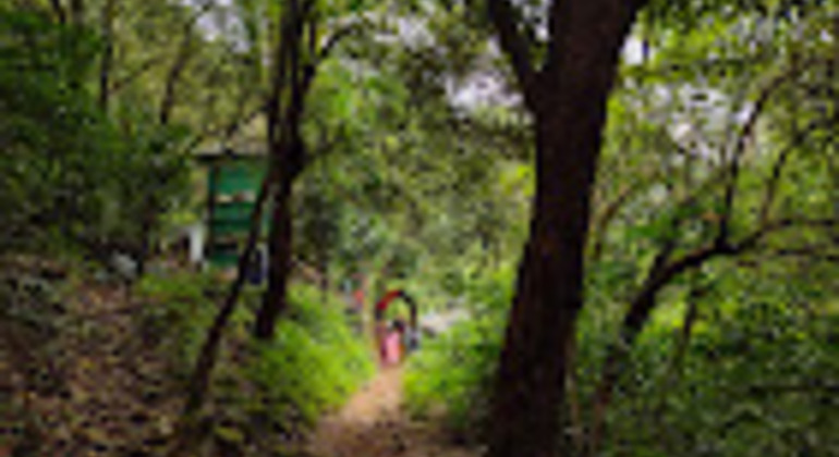 kerala-nature-tour-from-paithalmala-heights-to-serene-shores-es-5