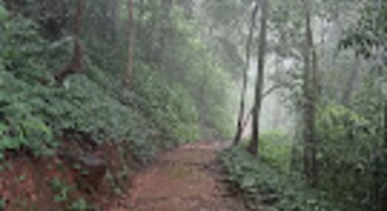 kerala-nature-tour-from-paithalmala-heights-to-serene-shores-es-6