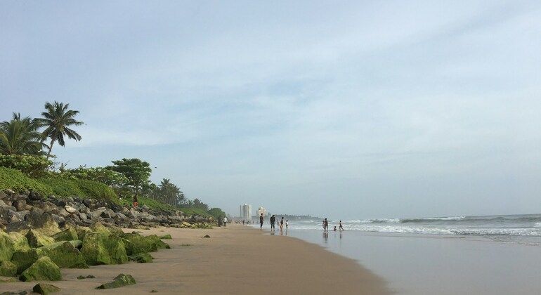 Kerala Nature Tour: From Paithalmala Heights to Serene Shores, India