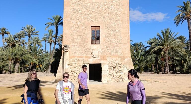 tour-cultural-por-el-palmeral-centro-histórico-de-elche-es-1