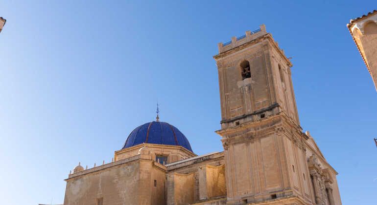 tour-cultural-por-el-palmeral-centro-histórico-de-elche-es-2