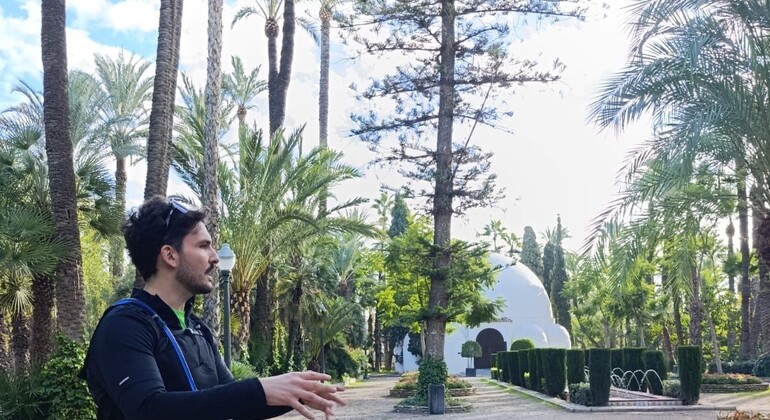 tour-cultural-por-el-palmeral-centro-histórico-de-elche-es-4