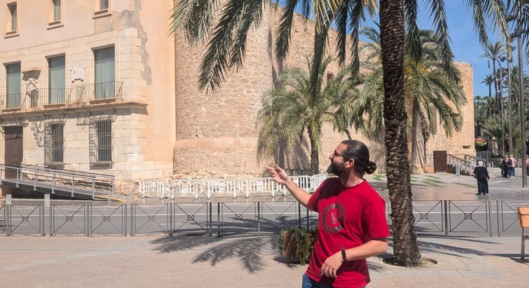 Tour Cultural por el Palmeral & Centro Histórico de Elche Operado por Cápsula Cultura