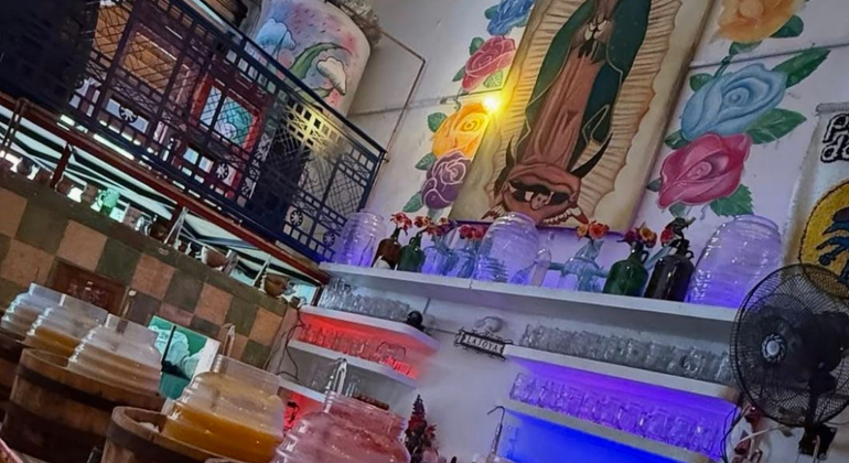 CDMX Verborgene Juwelen Tour: Schwimmende Bibliothek, geheime Wandmalereien & Pulque Mexiko &mdash; #3