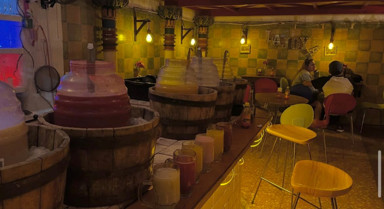 CDMX Verborgene Juwelen Tour: Schwimmende Bibliothek, geheime Wandmalereien & Pulque Mexiko &mdash; #2