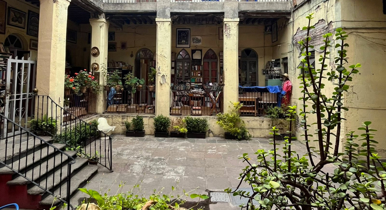 CDMX Verborgene Juwelen Tour: Schwimmende Bibliothek, geheime Wandmalereien & Pulque Mexiko &mdash; #6