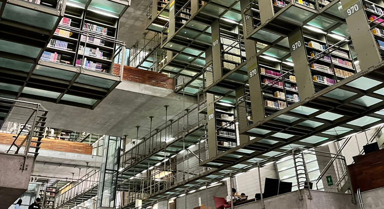 CDMX Verborgene Juwelen Tour: Schwimmende Bibliothek, geheime Wandmalereien & Pulque Mexiko &mdash; #8