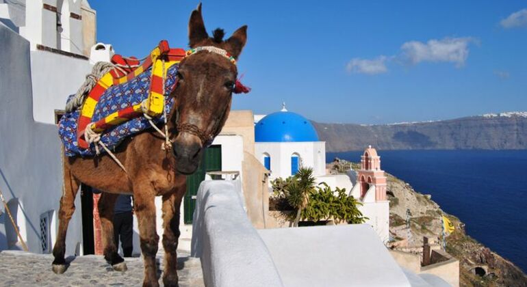 fira-the-art-of-living-in-santorini-guided-tour-recommendations-es-4