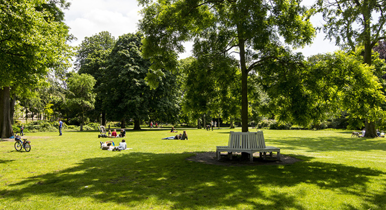 walking-tour-in-the-hague-what-has-the-hague-to-offer-lets-explore-en-7