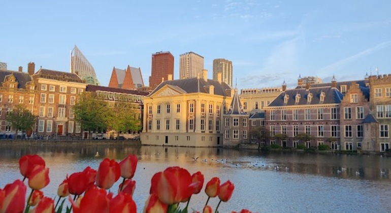 walking-tour-in-the-hague-what-has-the-hague-to-offer-lets-explore-en-10