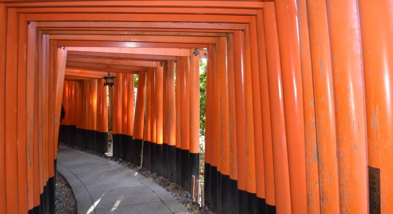 Kyoto: Full Day Private Tour with a Local Guide Japan &mdash; #3