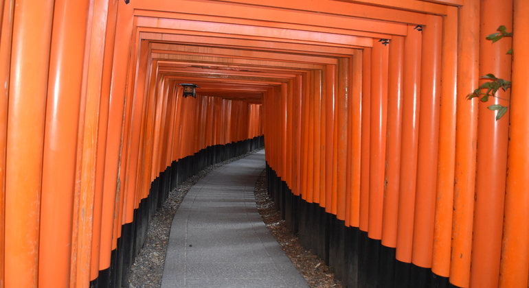 Kyoto: Full Day Private Tour with a Local Guide Japan &mdash; #4