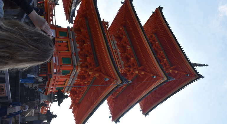 Kyoto: Full Day Private Tour with a Local Guide Japan &mdash; #5