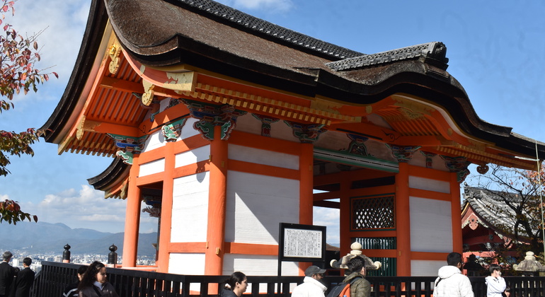 Kyoto: Full Day Private Tour with a Local Guide Japan &mdash; #6