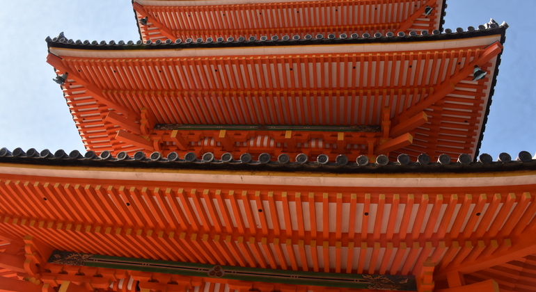 Kyoto: Full Day Private Tour with a Local Guide Japan &mdash; #7