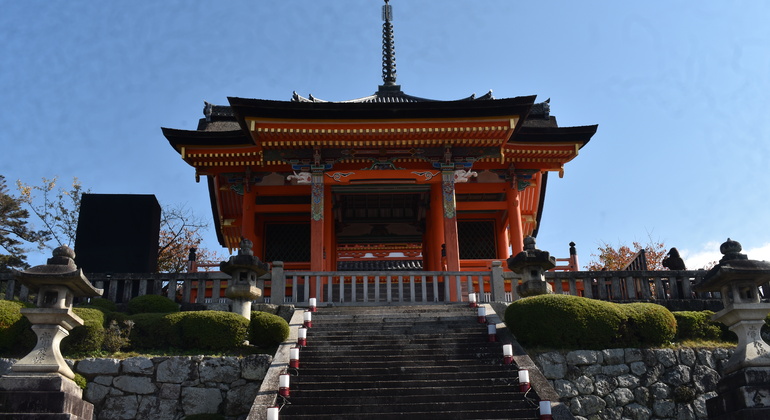 Kyoto: Full Day Private Tour with a Local Guide Japan &mdash; #8